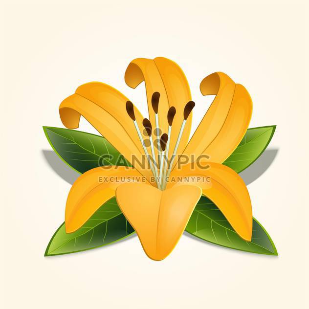 Beautiful vector illustration of yellow lily flower with green leaves on beige background - vector gratuit #126299 