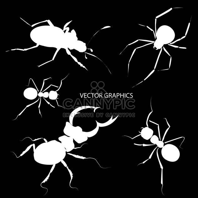 Vector illustration of white bugs silhouettes on black background - Free vector #126599