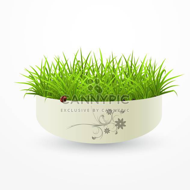 fresh green grass in vase on white background - vector gratuit #126749 