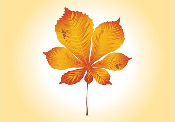 Autumn Leaf Vector Graphics - Free vector #145719