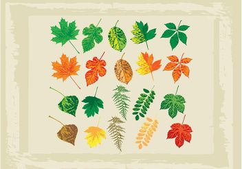 Full Color Vector Leaves - vector gratuit #146289 