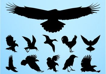 Birds Silhouettes Graphics - Free vector #157659