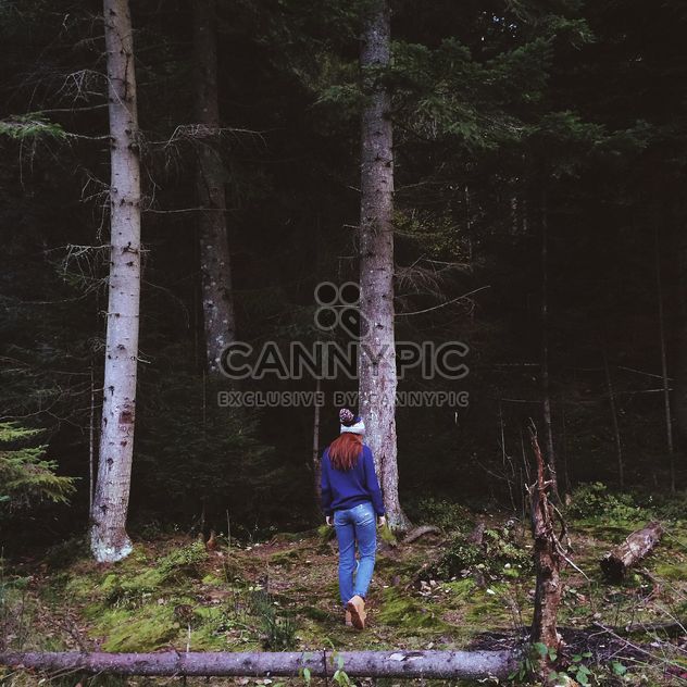 Long-haired girl in forest - image gratuit #183529 