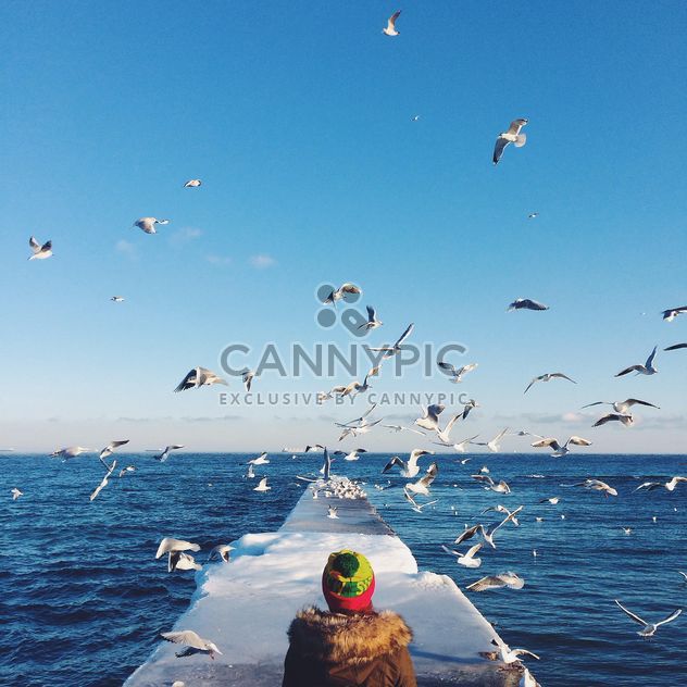 Girl on pier and seagulls over sea - image #183549 gratis