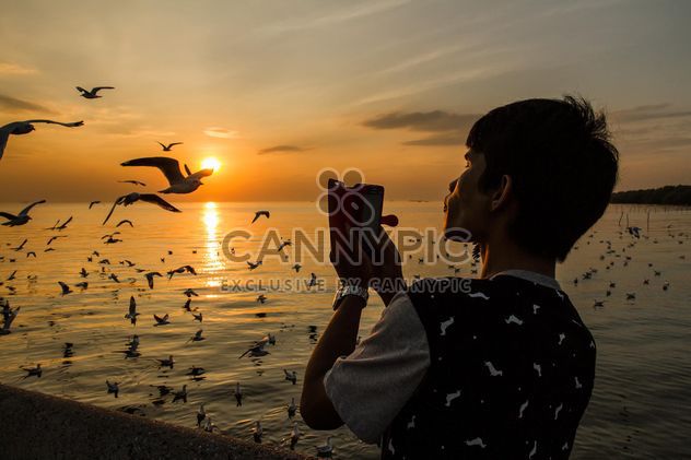 Taking seagulls at sunset - Free image #183919