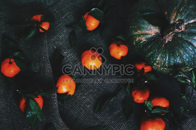 Pumpkin and tangerines - image gratuit #184079 