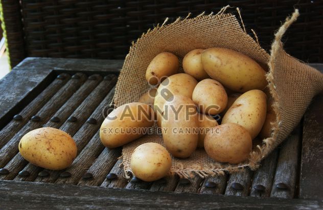 Raw potato - Kostenloses image #184089