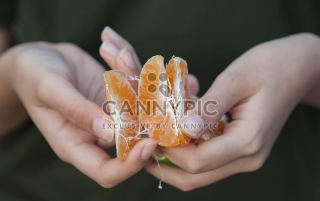 Peeled tangerine in hands - бесплатный image #186559
