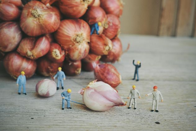 Minature workers with onion - image gratuit #187129 