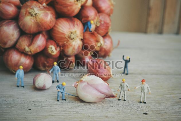 Minature workers with onion - image #187129 gratis