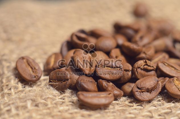 Close-up of coffee beans - Free image #198209