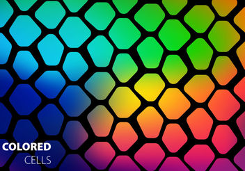 Free Colored Cells Vector - Free vector #199189