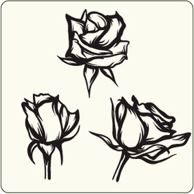 Roses 4 - vector gratuit #204579 