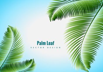 Palm Leaf Vector - Kostenloses vector #205119