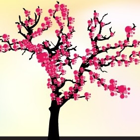 Cherry Blossom Tree Vector - Kostenloses vector #207179