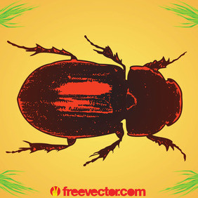 Beetle - vector gratuit #207759 