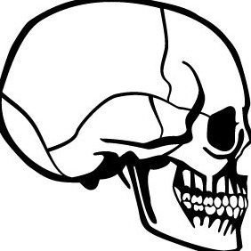 Skull Profile Vector - vector #213019 gratis