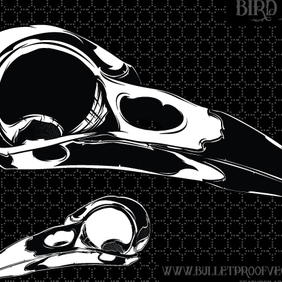 Bird Skull - Kostenloses vector #221259