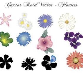 Flower Vector Set In Color - Free vector #223159