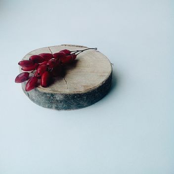 Barberry, berries, piece of wood, bark. - Free image #272179