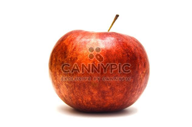 Red Apple - Kostenloses image #273199