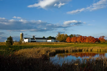Autumn light, Kerr's Farm - image #279119 gratis