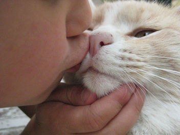 Asha & Ginger (Kissing) - image gratuit #279129 