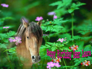 Happy Birthday Dear Laura - image #285509 gratis
