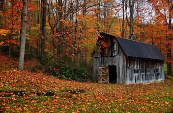 Autumn Country Barn - image gratuit #285569 