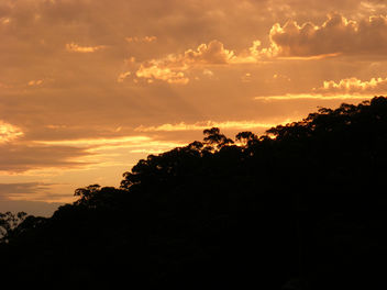 Darks Common Sunset - image #287279 gratis
