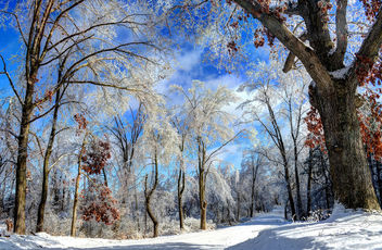 Winter Wonderland - Kostenloses image #290519