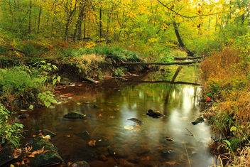 Ruth Zimmerman Natural Area (Autumn Visit) (3) - Free image #294249
