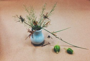 Dry flowers in a vase - бесплатный image #301389