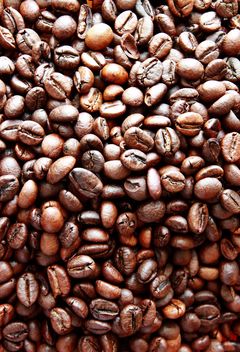 Coffee beans - image gratuit #302299 