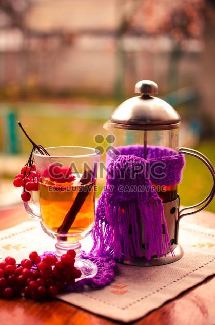 warm tea outdoor with vibrunum - image gratuit #302919 