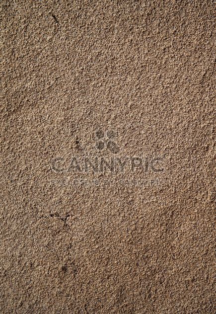 Sandy wall texure - Free image #303759