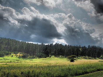 Forest with dark clouds - image #303929 gratis