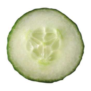 cucumber - Free image #309209