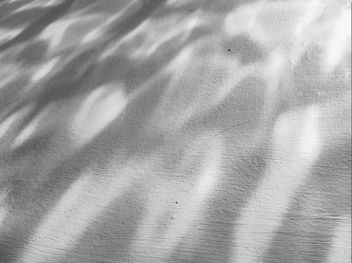 Dappled Sunlight On A Wall - Kostenloses image #312229