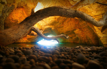 grotte marine gargano carmen fiano - image #316659 gratis