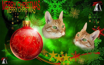 Merry Christmas to All My Friends - Kostenloses image #317879
