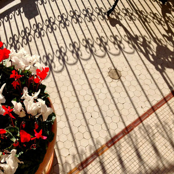 Balcony flowers - Free image #321219