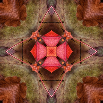 Fall Kaleidoscope II - image gratuit #321349 