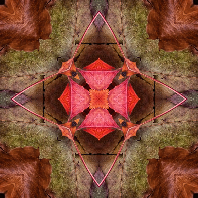 Fall Kaleidoscope II - Free image #321349
