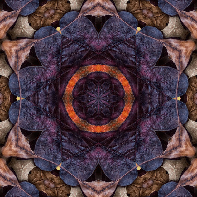 Fall Kaleidoscope III - image gratuit #321359 