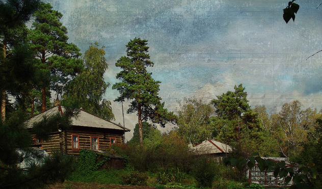 Cottage in the woods - бесплатный image #323089