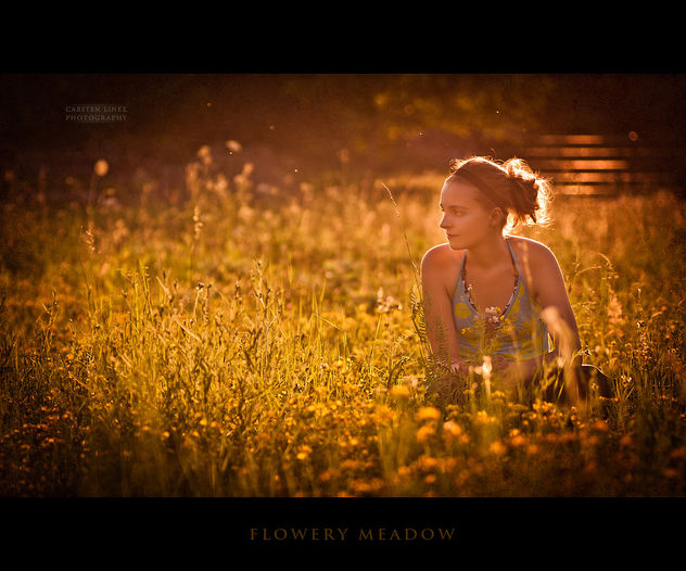 in the meadow - бесплатный image #323449