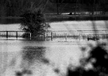 Lugg Flats Herefordshire #dailyshoot #leshaines - Kostenloses image #323969