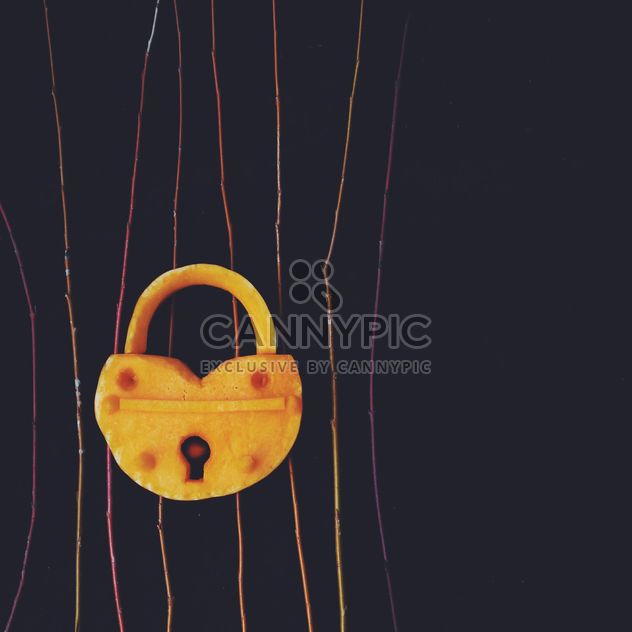 Lock made of pumpkin - бесплатный image #330459