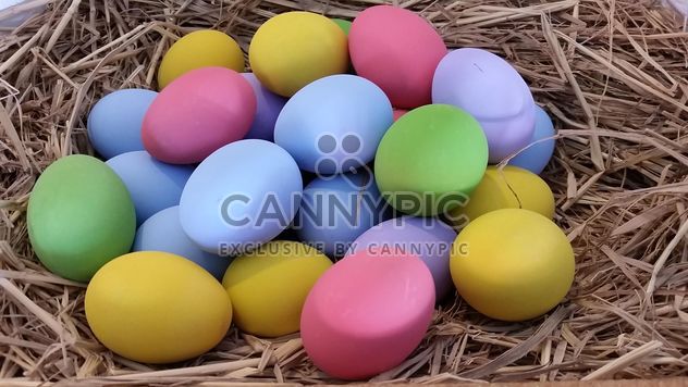 Colorful eggs - image gratuit #335189 